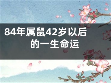 84年属鼠42岁以后的一生命运