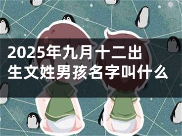 2025年九月十二出生文姓男孩名字叫什么