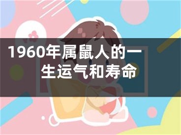 1960年属鼠人的一生运气和寿命
