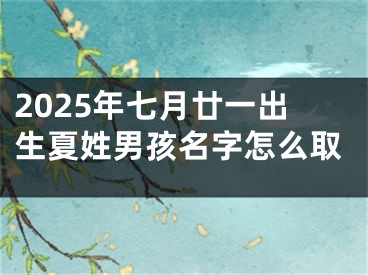 2025年七月廿一出生夏姓男孩名字怎么取