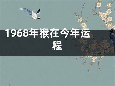 1968年猴在今年运程