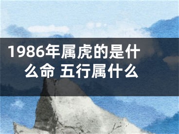 1986年属虎的是什么命 五行属什么