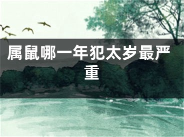 属鼠哪一年犯太岁最严重