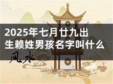2025年七月廿九出生赖姓男孩名字叫什么