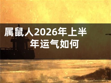 属鼠人2026年上半年运气如何