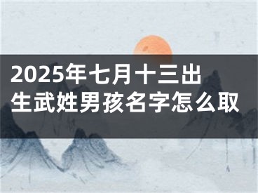 2025年七月十三出生武姓男孩名字怎么取