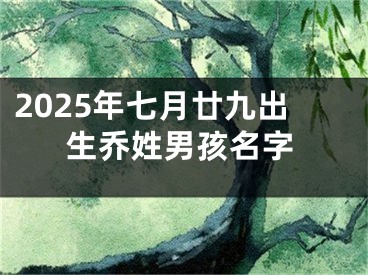 2025年七月廿九出生乔姓男孩名字