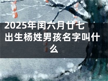 2025年闰六月廿七出生杨姓男孩名字叫什么