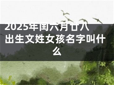 2025年闰六月廿八出生文姓女孩名字叫什么