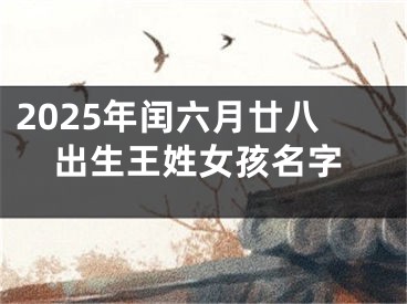 2025年闰六月廿八出生王姓女孩名字