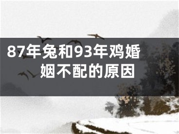 87年兔和93年鸡婚姻不配的原因