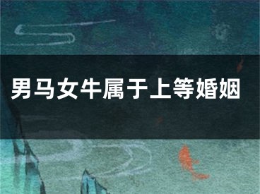 男马女牛属于上等婚姻
