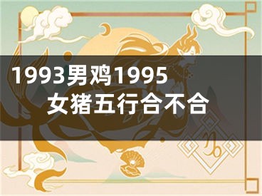 1993男鸡1995女猪五行合不合