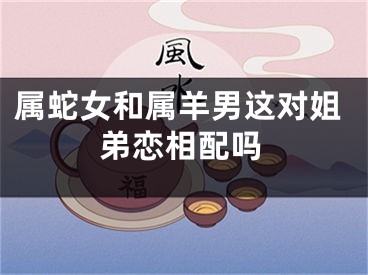 属蛇女和属羊男这对姐弟恋相配吗