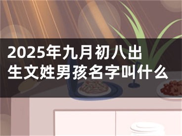2025年九月初八出生文姓男孩名字叫什么