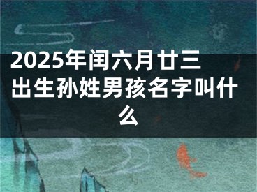 2025年闰六月廿三出生孙姓男孩名字叫什么