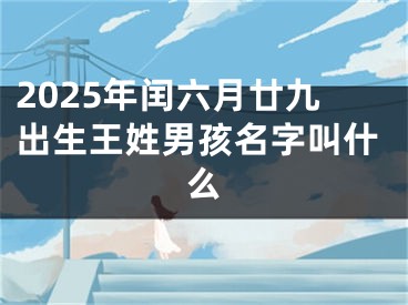 2025年闰六月廿九出生王姓男孩名字叫什么