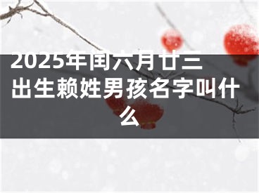 2025年闰六月廿三出生赖姓男孩名字叫什么