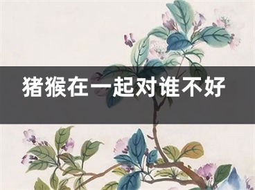 猪猴在一起对谁不好