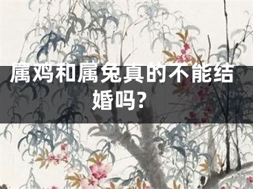 属鸡和属兔真的不能结婚吗?