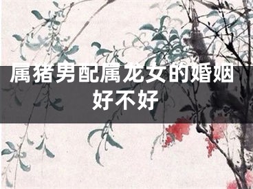 属猪男配属龙女的婚姻好不好