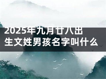 2025年九月廿八出生文姓男孩名字叫什么