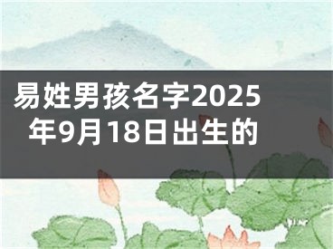 易姓男孩名字2025年9月18日出生的