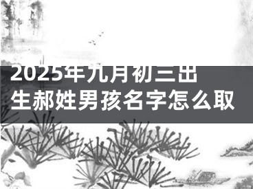 2025年九月初三出生郝姓男孩名字怎么取