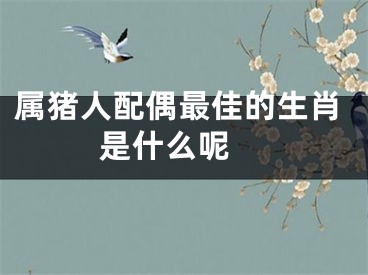 属猪人配偶最佳的生肖是什么呢 