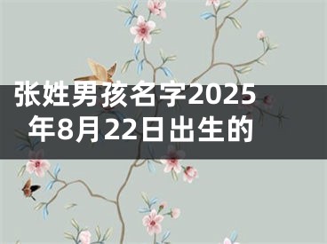 张姓男孩名字2025年8月22日出生的