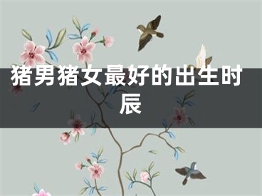 猪男猪女最好的出生时辰