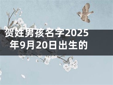 贺姓男孩名字2025年9月20日出生的