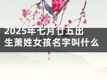 2025年七月廿五出生萧姓女孩名字叫什么