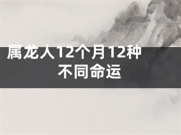 属龙人12个月12种不同命运