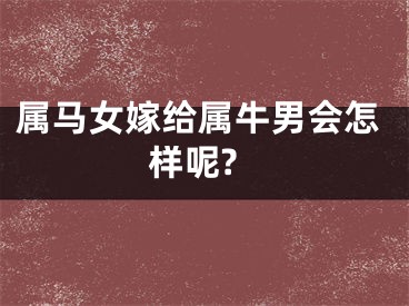 属马女嫁给属牛男会怎样呢?