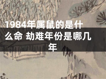 1984年属鼠的是什么命 劫难年份是哪几年