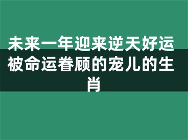 未来一年迎来逆天好运被命运眷顾的宠儿的生肖