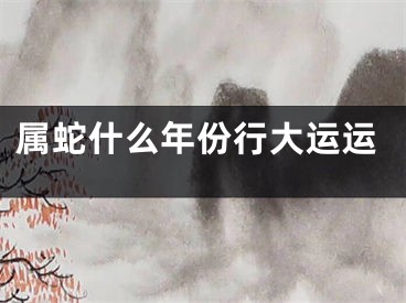 属蛇什么年份行大运运