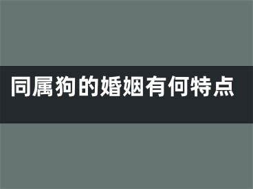 同属狗的婚姻有何特点