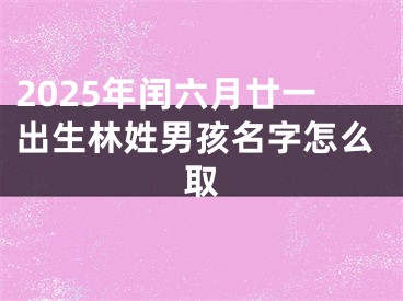 2025年闰六月廿一出生林姓男孩名字怎么取