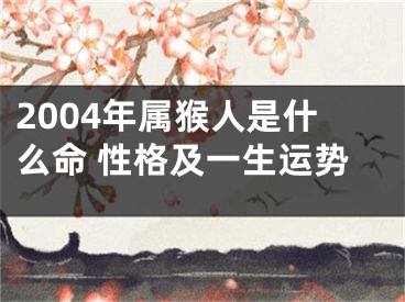 2004年属猴人是什么命 性格及一生运势