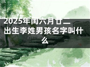 2025年闰六月廿二出生李姓男孩名字叫什么