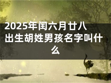 2025年闰六月廿八出生胡姓男孩名字叫什么