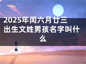 2025年闰六月廿三出生文姓男孩名字叫什么