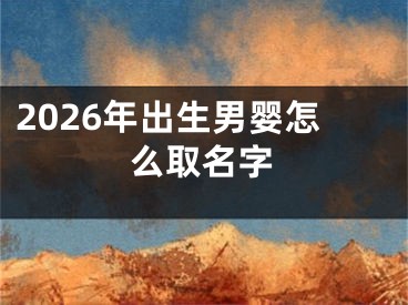 2026年出生男婴怎么取名字