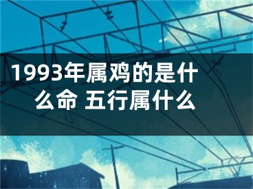 1993年属鸡的是什么命 五行属什么