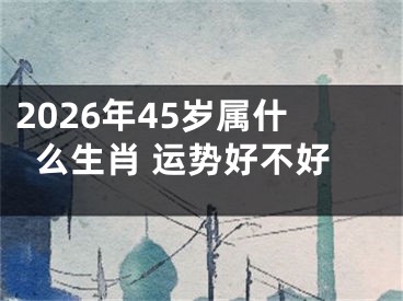 2026年45岁属什么生肖 运势好不好