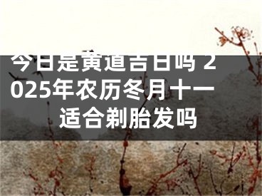 今日是黄道吉日吗 2025年农历冬月十一适合剃胎发吗