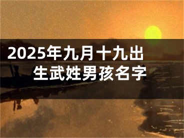 2025年九月十九出生武姓男孩名字
