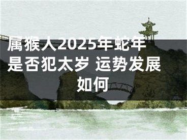 属猴人2025年蛇年是否犯太岁 运势发展如何